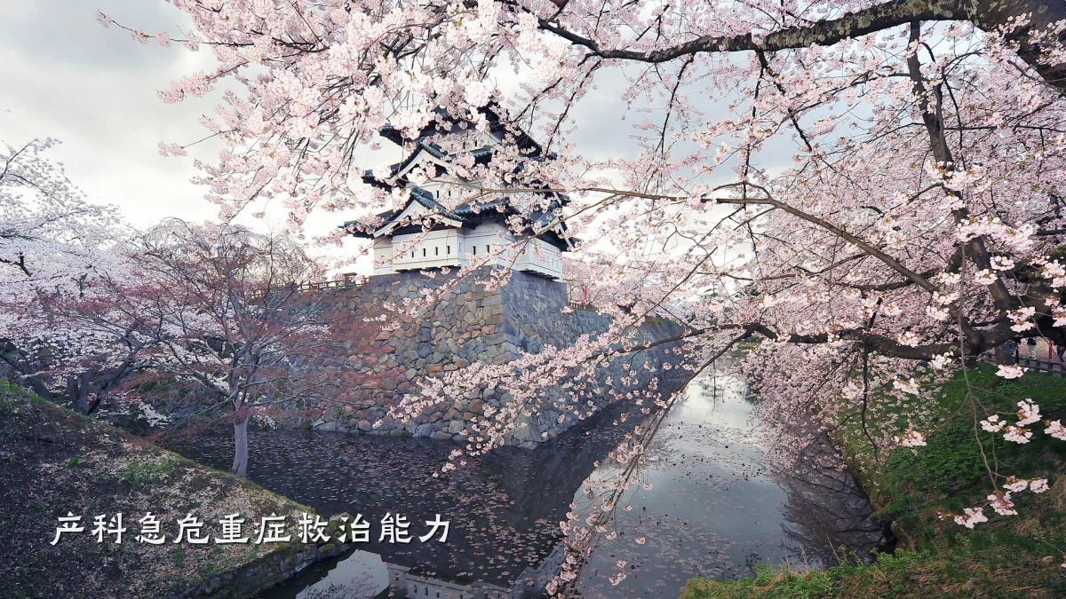 产科急危重症救治能力