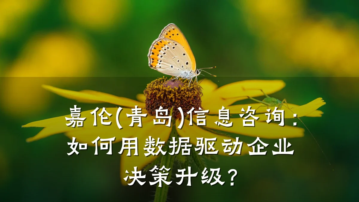 嘉伦(青岛)信息咨询:如何用数据驱动企业决策升级?