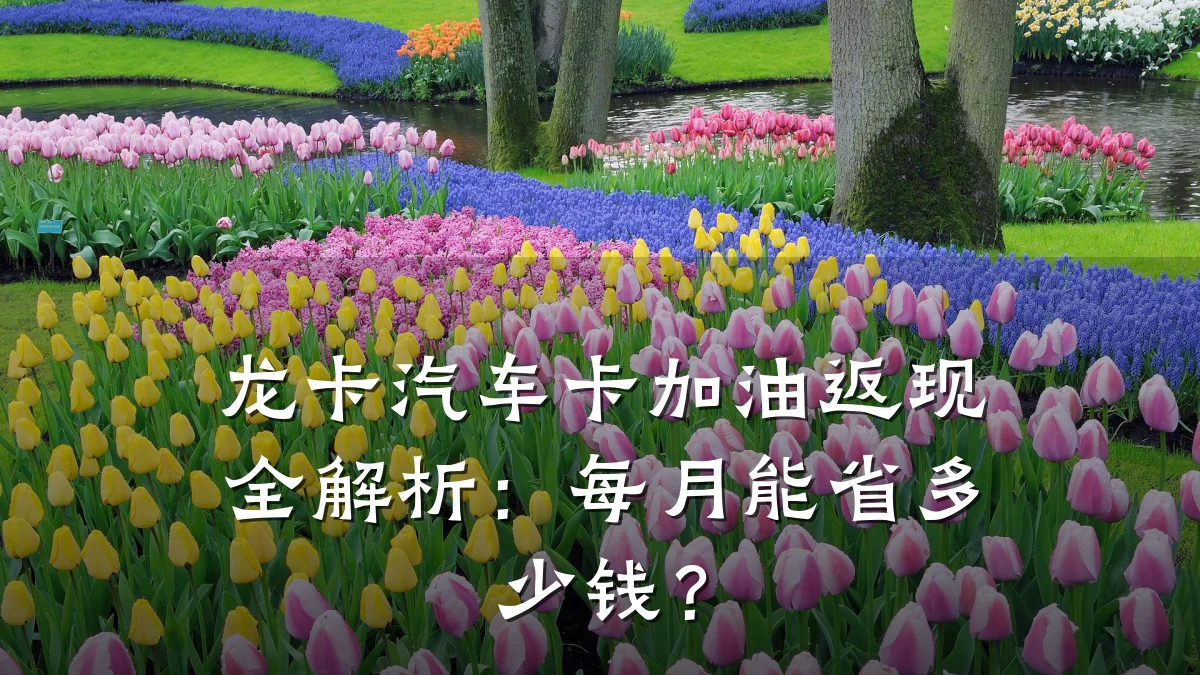 龙卡汽车卡加油返现全解析:每月能省多少钱?