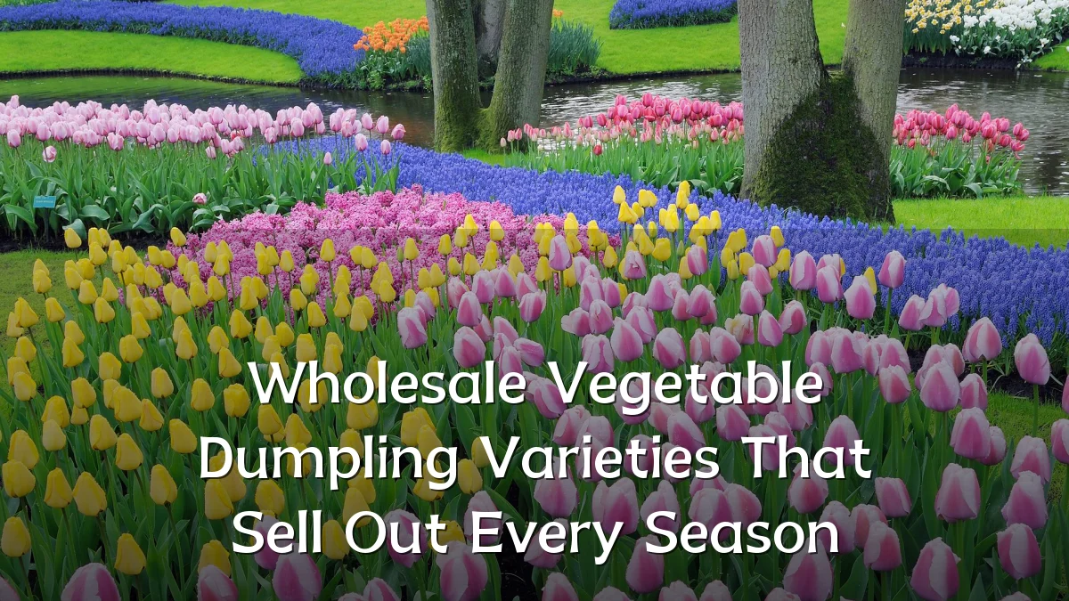 Wholesale Vegetable Dumpling Varieties That Sell Out Every Season