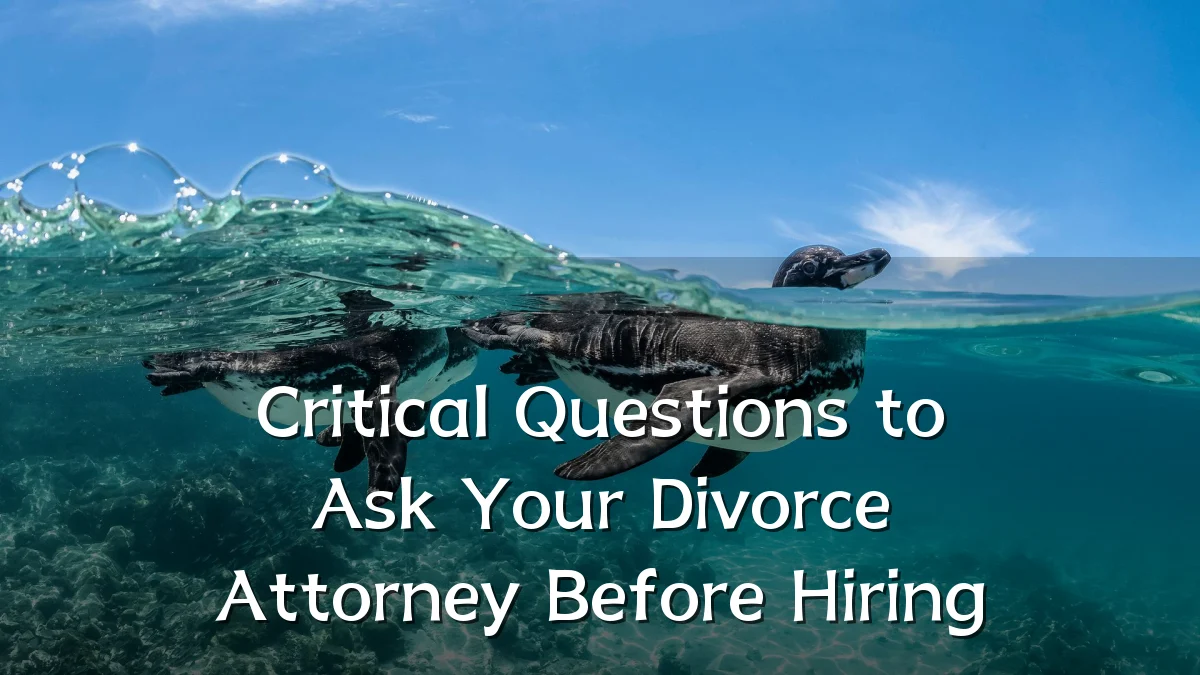 Critical Questions to Ask Your Divorce Attorney Before Hiring