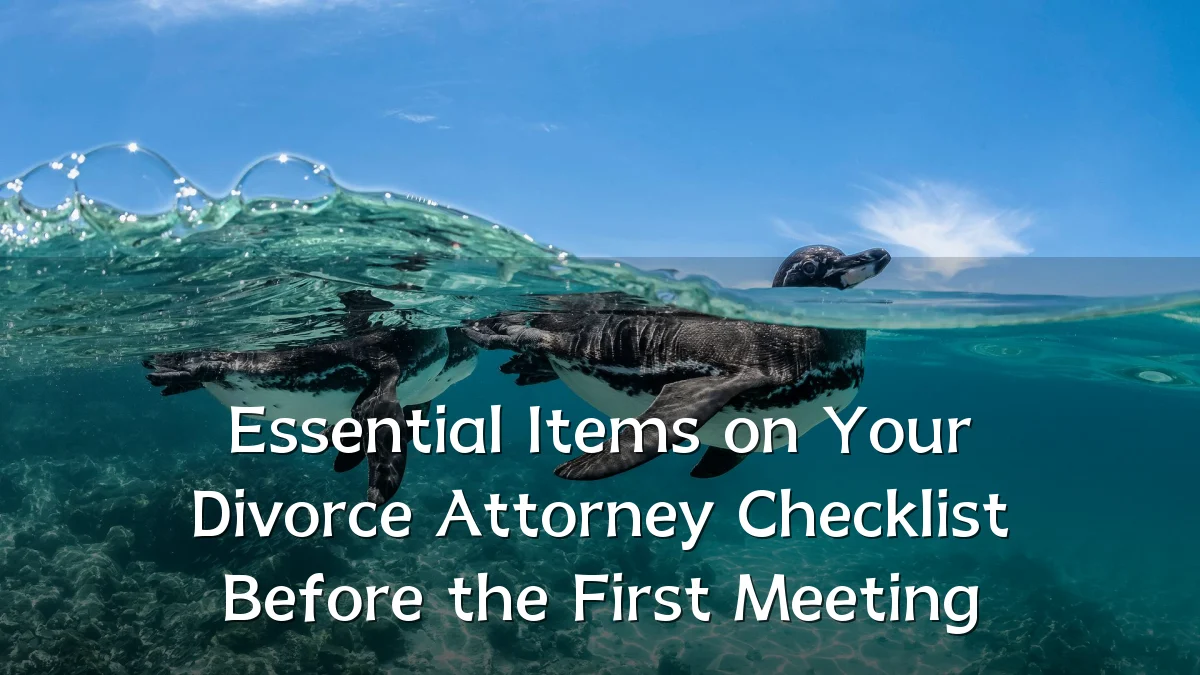 Essential Items on Your Divorce Attorney Checklist Before the First Meeting