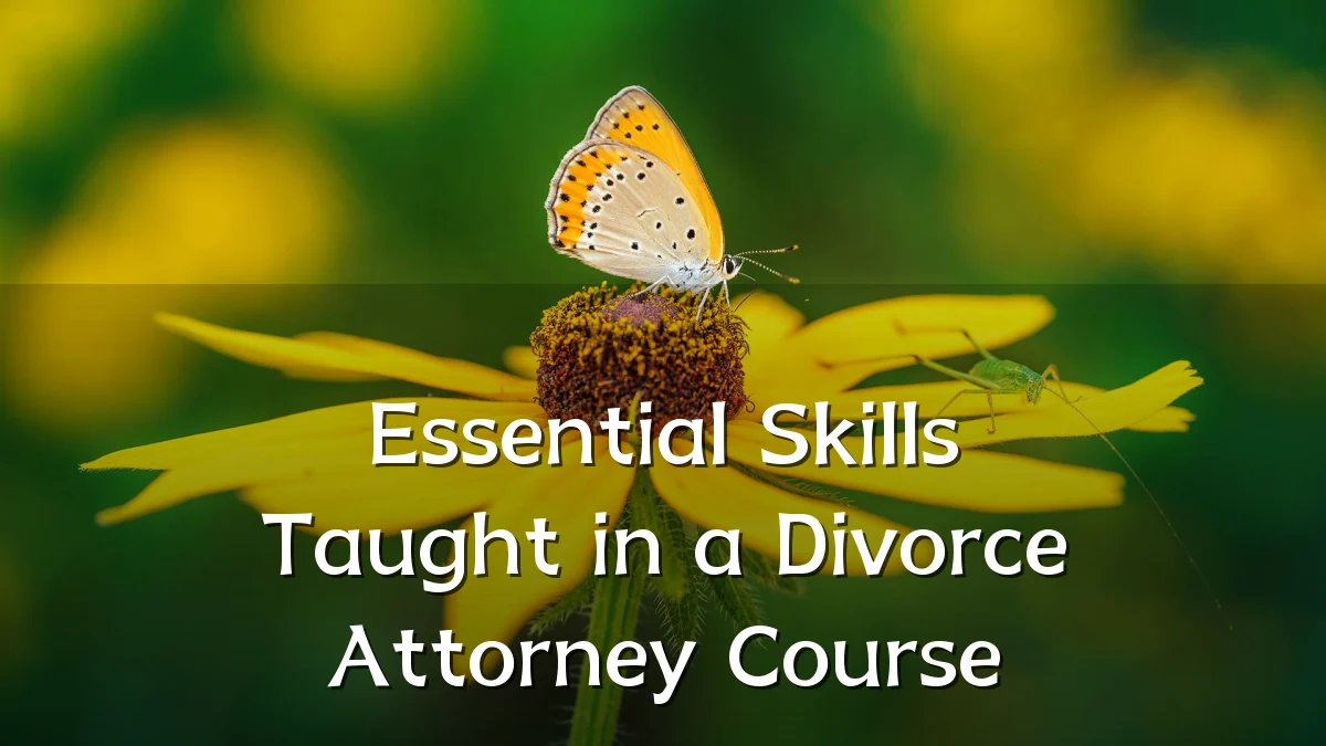 Essential Skills Taught in a Divorce Attorney Course