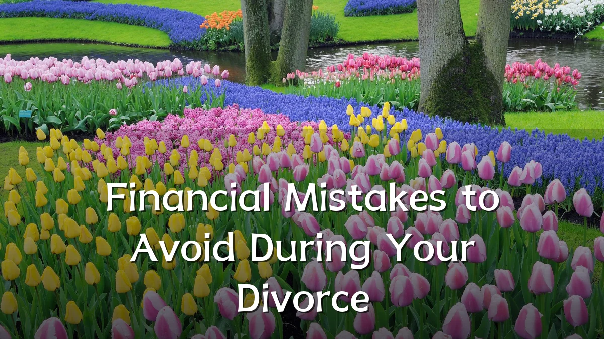 Financial Mistakes to Avoid During Your Divorce