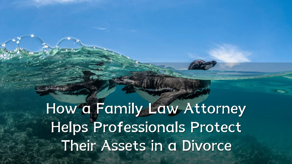How a Family Law Attorney Helps Professionals Protect Their Assets in a Divorce