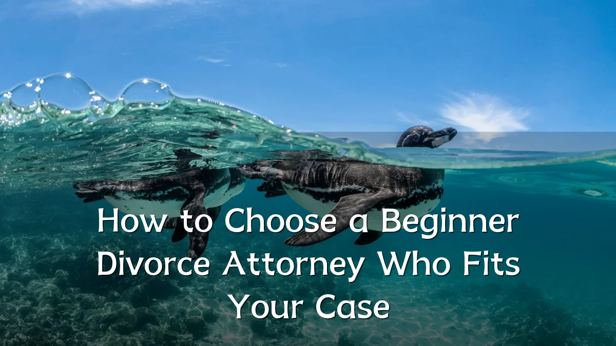 How to Choose a Beginner Divorce Attorney Who Fits Your Case