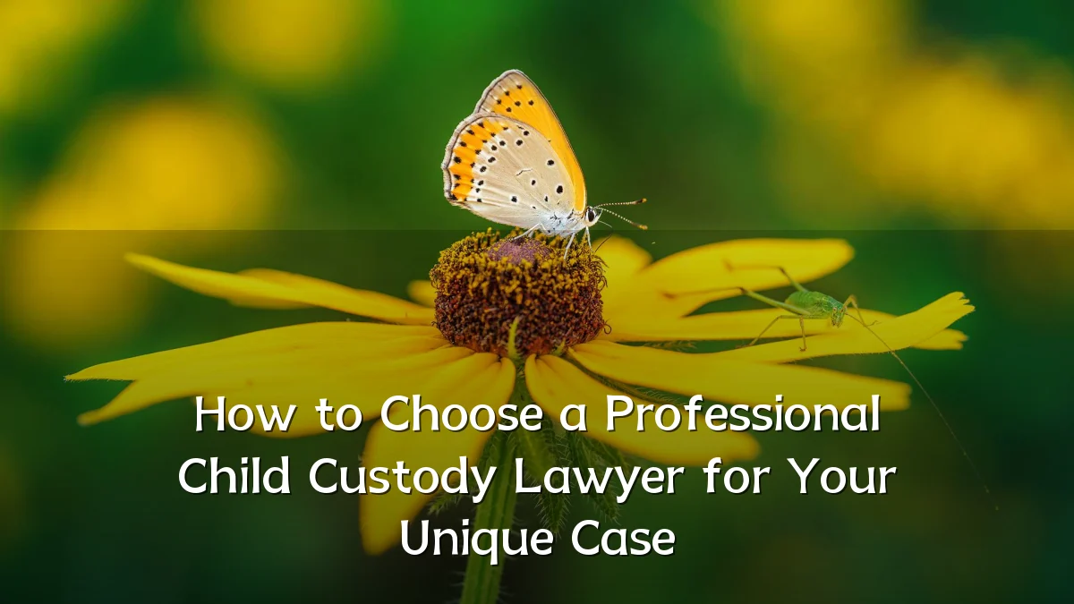 How to Choose a Professional Child Custody Lawyer for Your Unique Case