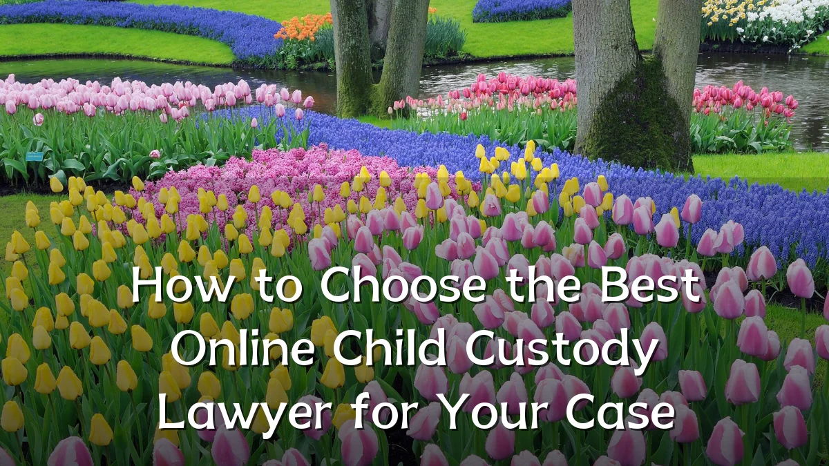 How to Choose the Best Online Child Custody Lawyer for Your Case