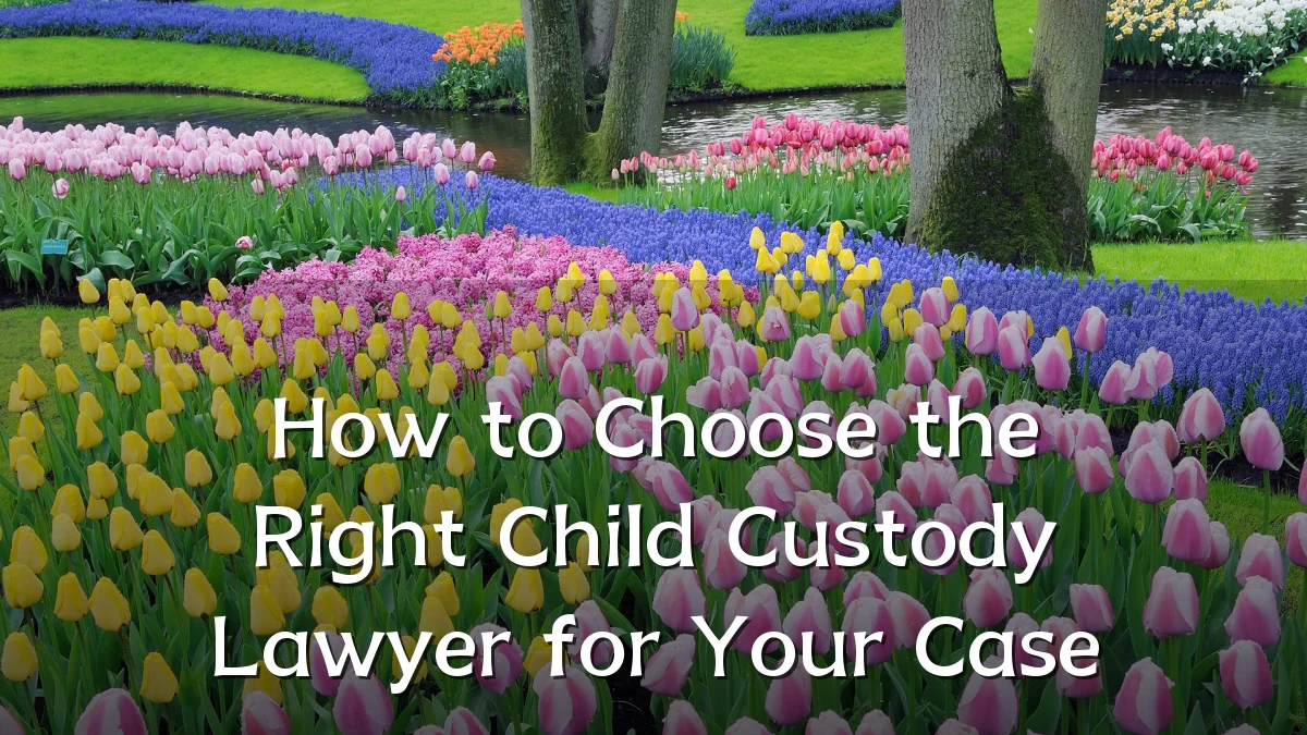 How to Choose the Right Child Custody Lawyer for Your Case