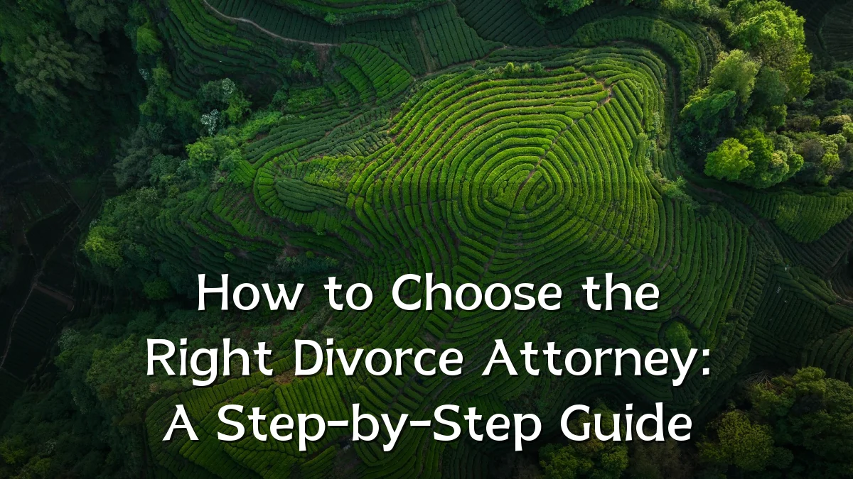 How to Choose the Right Divorce Attorney: A Step-by-Step Guide