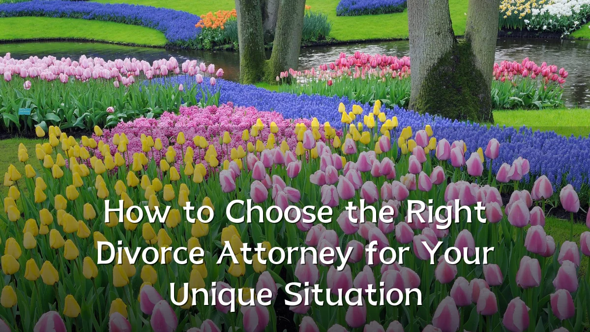 How to Choose the Right Divorce Attorney for Your Unique Situation