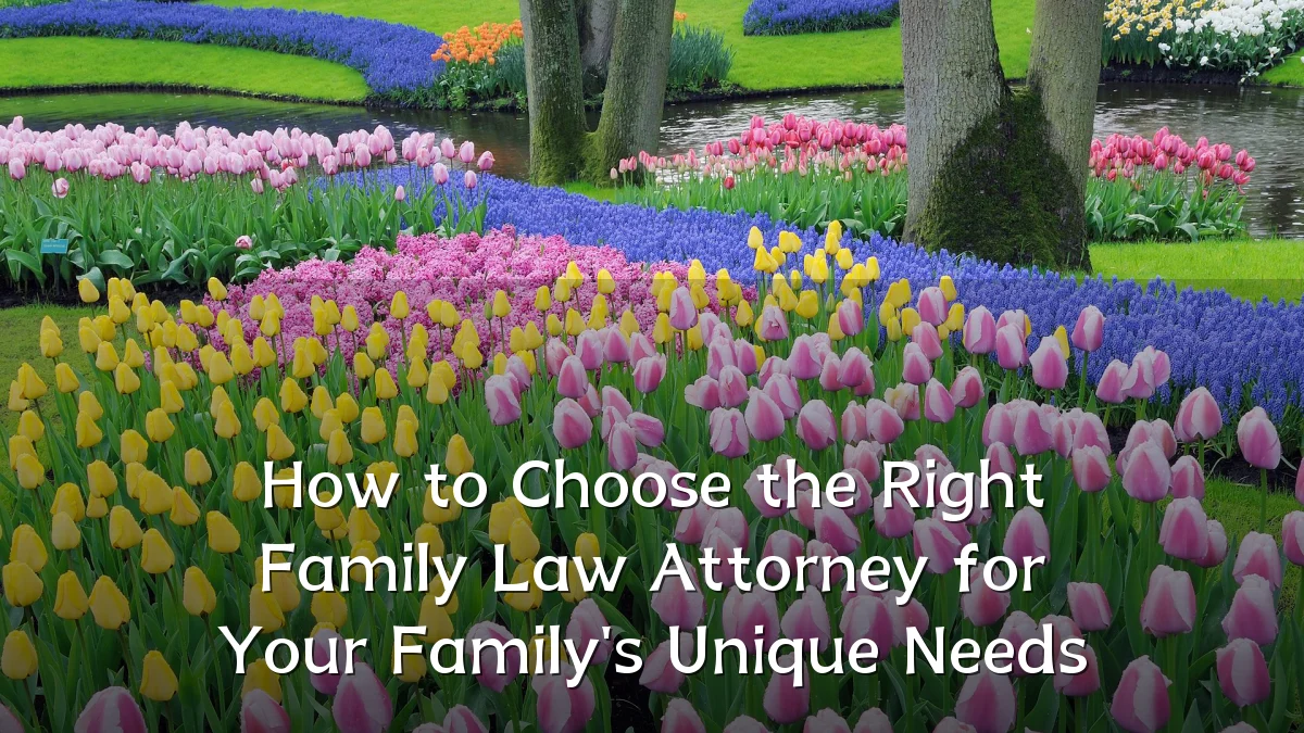 How to Choose the Right Family Law Attorney for Your Family's Unique Needs