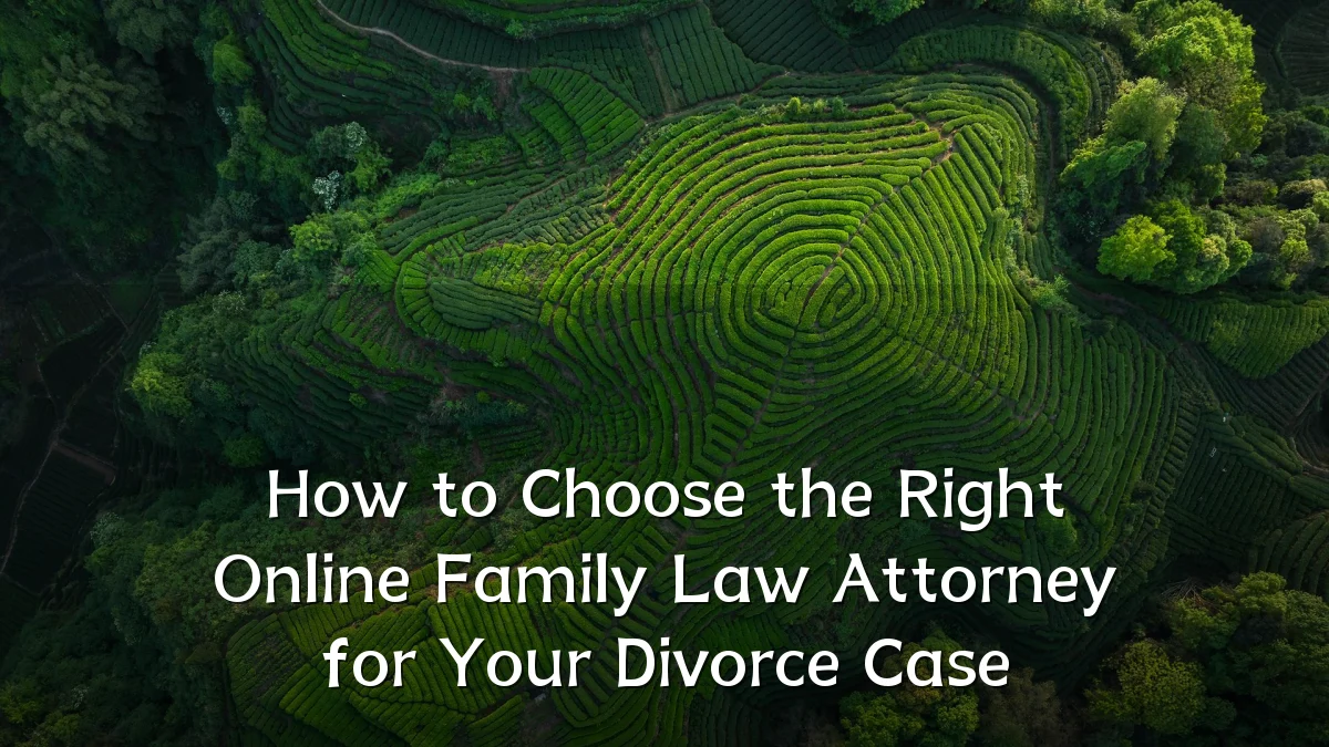 How to Choose the Right Online Family Law Attorney for Your Divorce Case