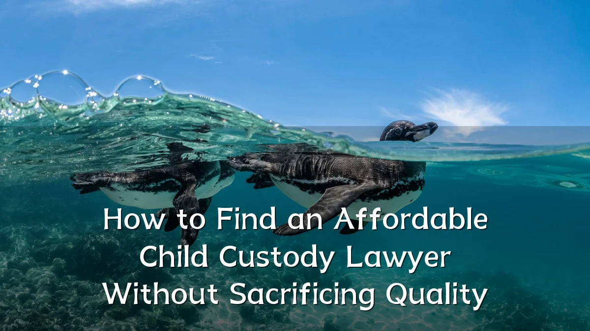 How to Find an Affordable Child Custody Lawyer Without Sacrificing Quality