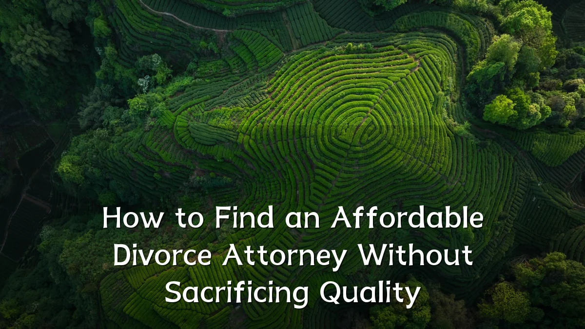 How to Find an Affordable Divorce Attorney Without Sacrificing Quality