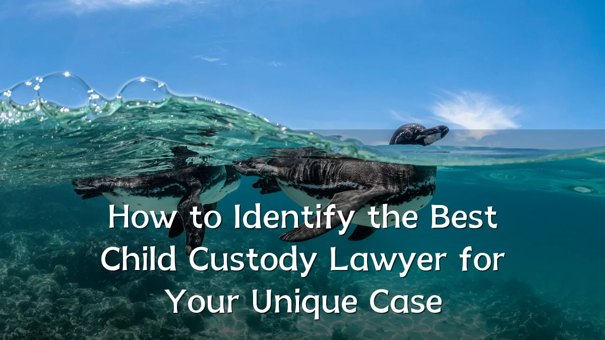 How to Identify the Best Child Custody Lawyer for Your Unique Case