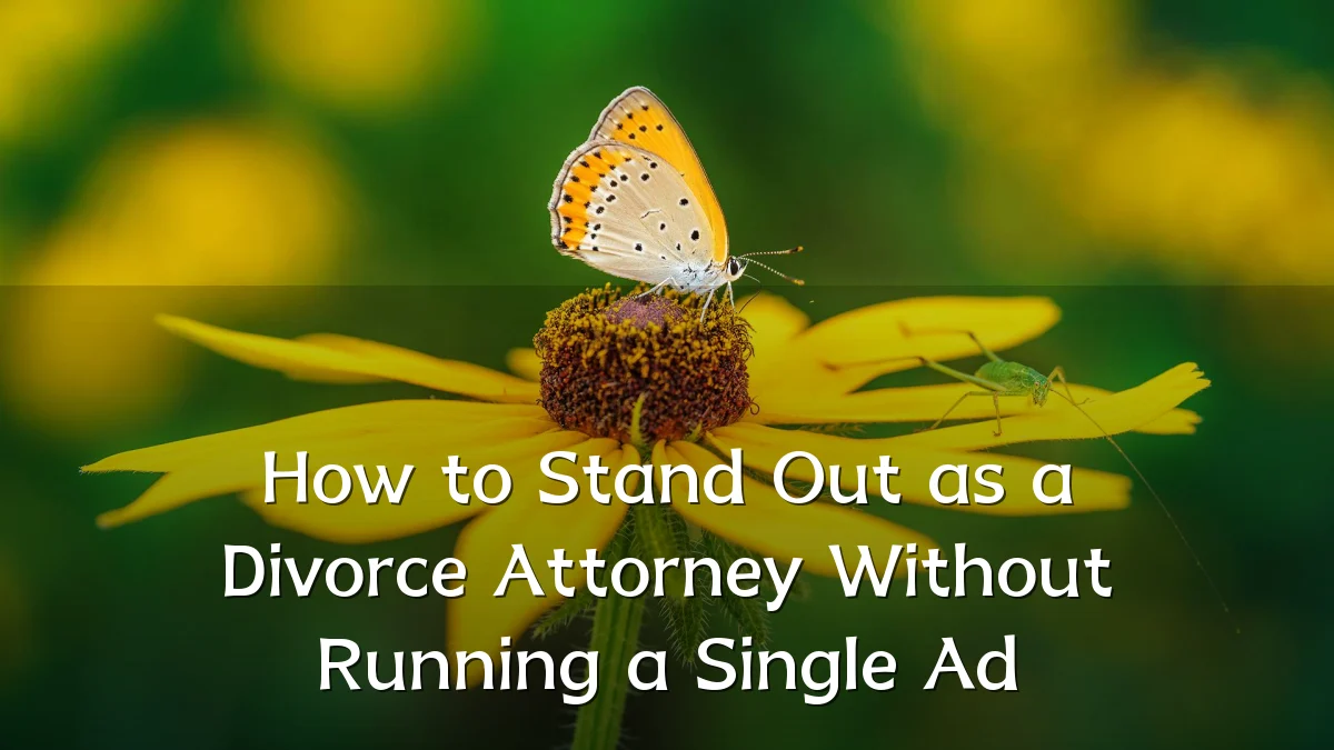 How to Stand Out as a Divorce Attorney Without Running a Single Ad