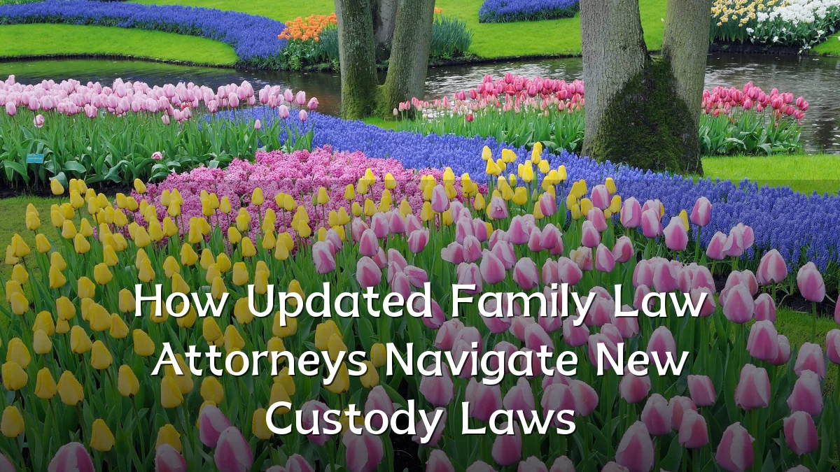 How Updated Family Law Attorneys Navigate New Custody Laws