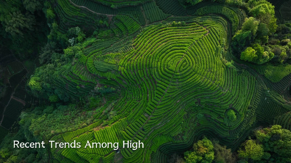 Recent Trends Among High