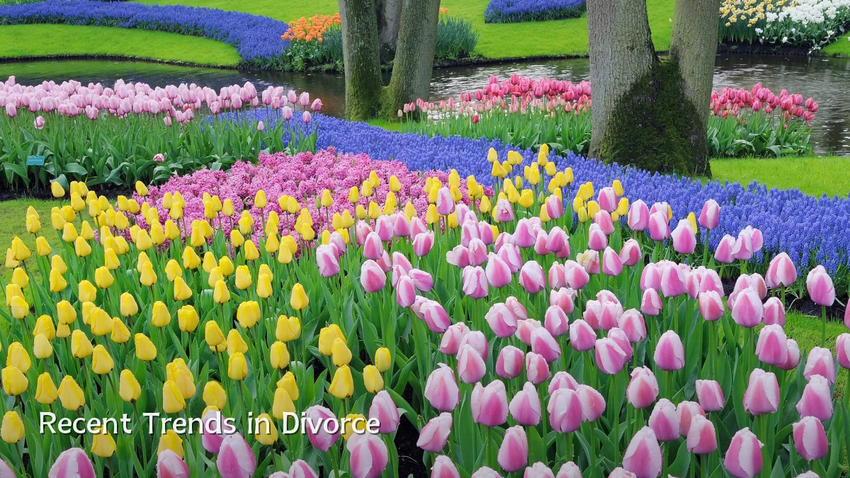 Recent Trends in Divorce