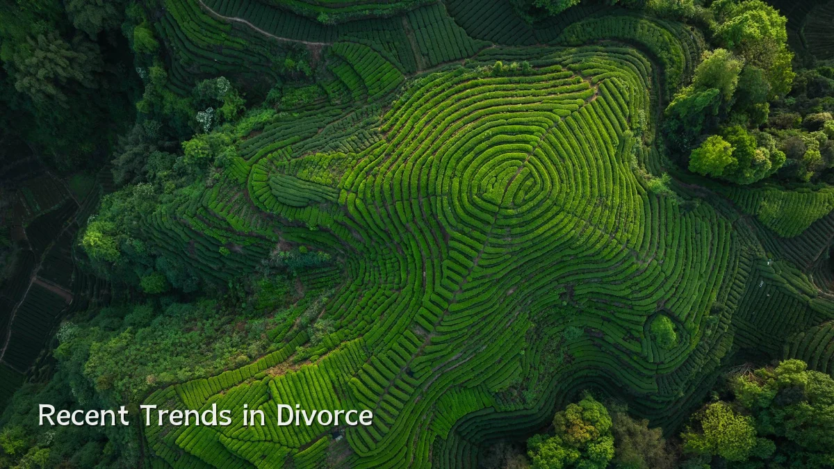 Recent Trends in Divorce