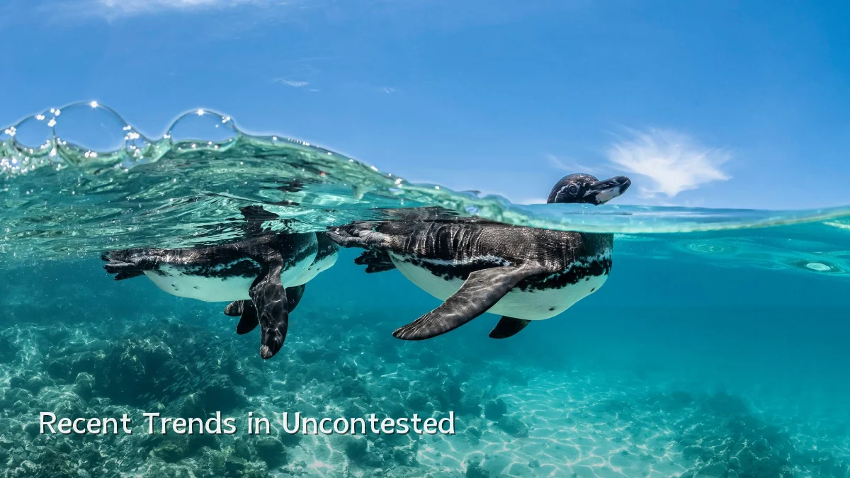 Recent Trends in Uncontested