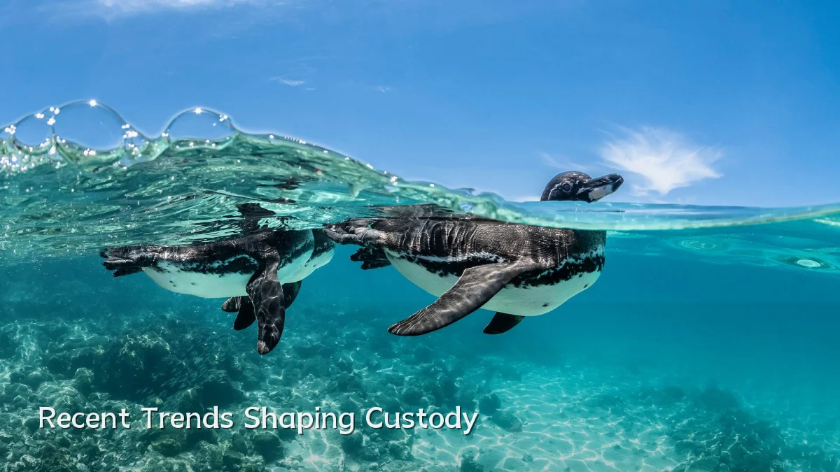 Recent Trends Shaping Custody