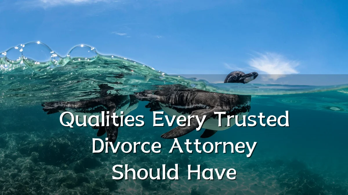 Qualities Every Trusted Divorce Attorney Should Have