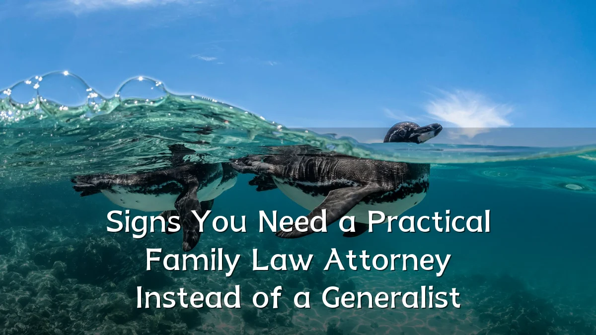 Signs You Need a Practical Family Law Attorney Instead of a Generalist