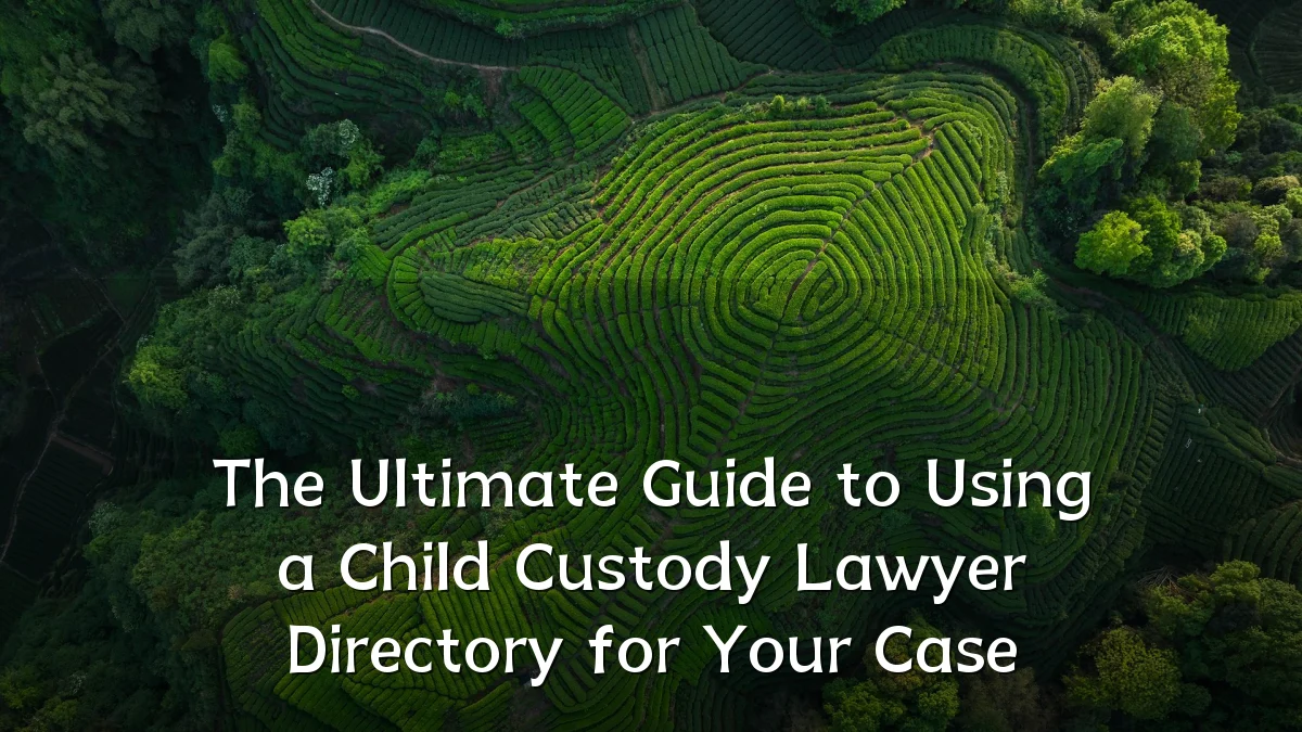 The Ultimate Guide to Using a Child Custody Lawyer Directory for Your Case
