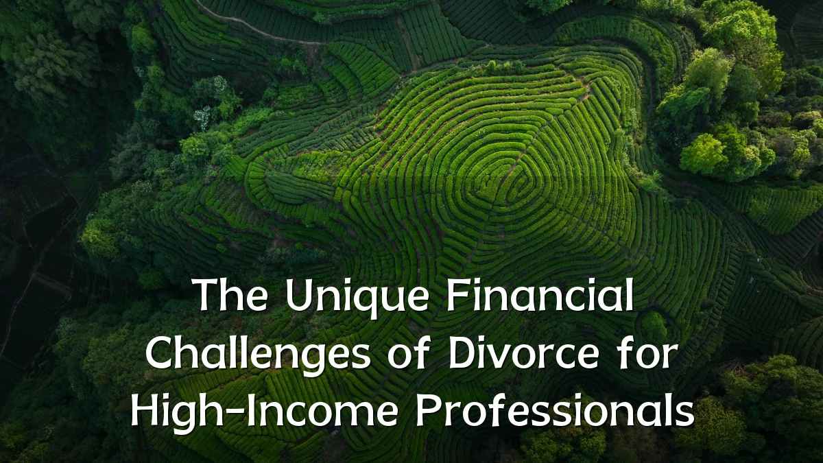 The Unique Financial Challenges of Divorce for High-Income Professionals