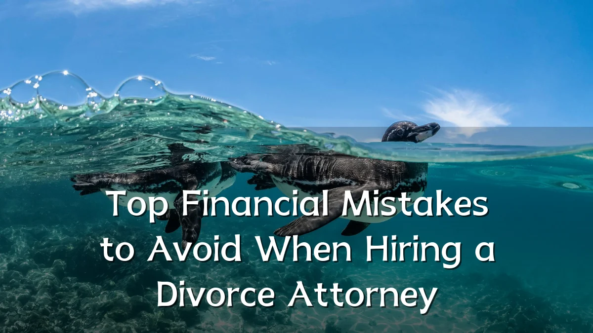 Top Financial Mistakes to Avoid When Hiring a Divorce Attorney