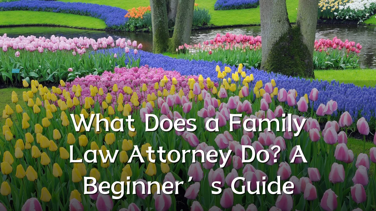 What Does a Family Law Attorney Do? A Beginner’s Guide