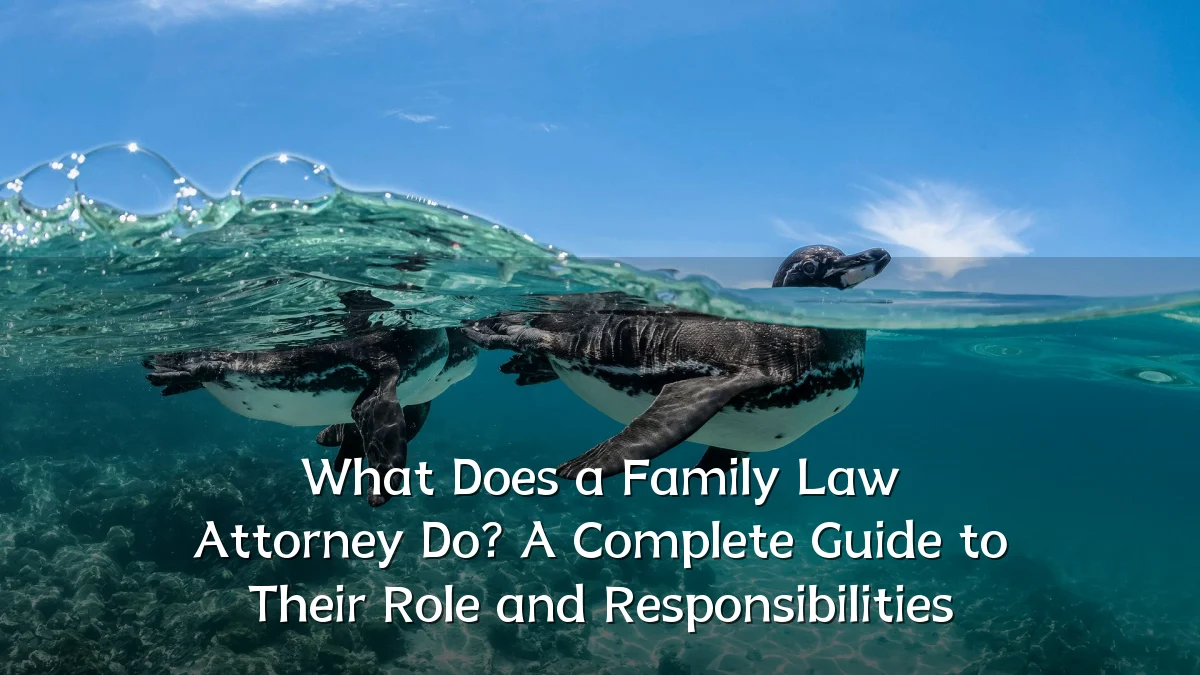 What Does a Family Law Attorney Do? A Complete Guide to Their Role and Responsibilities
