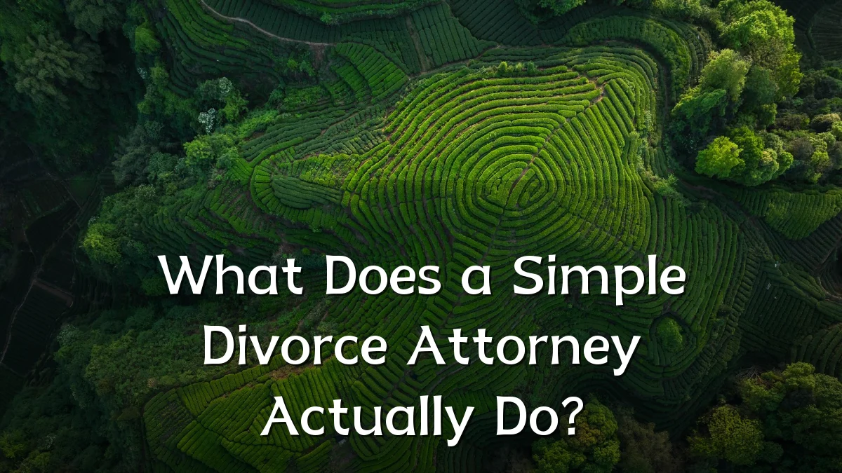 What Does a Simple Divorce Attorney Actually Do?