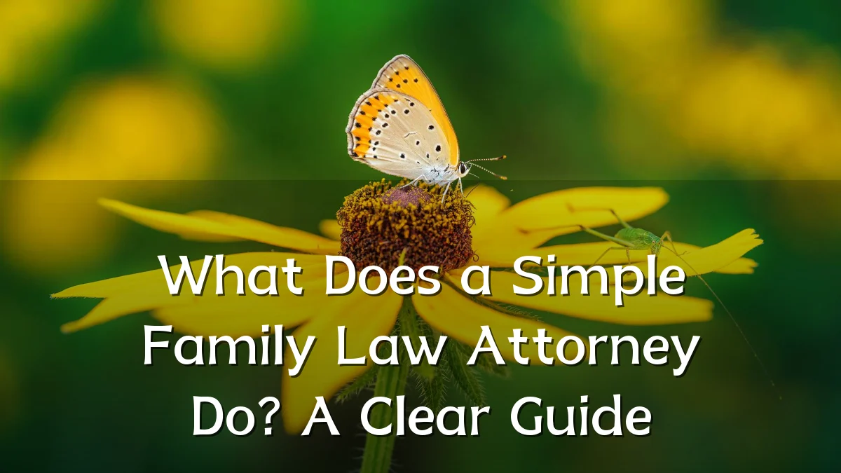 What Does a Simple Family Law Attorney Do? A Clear Guide
