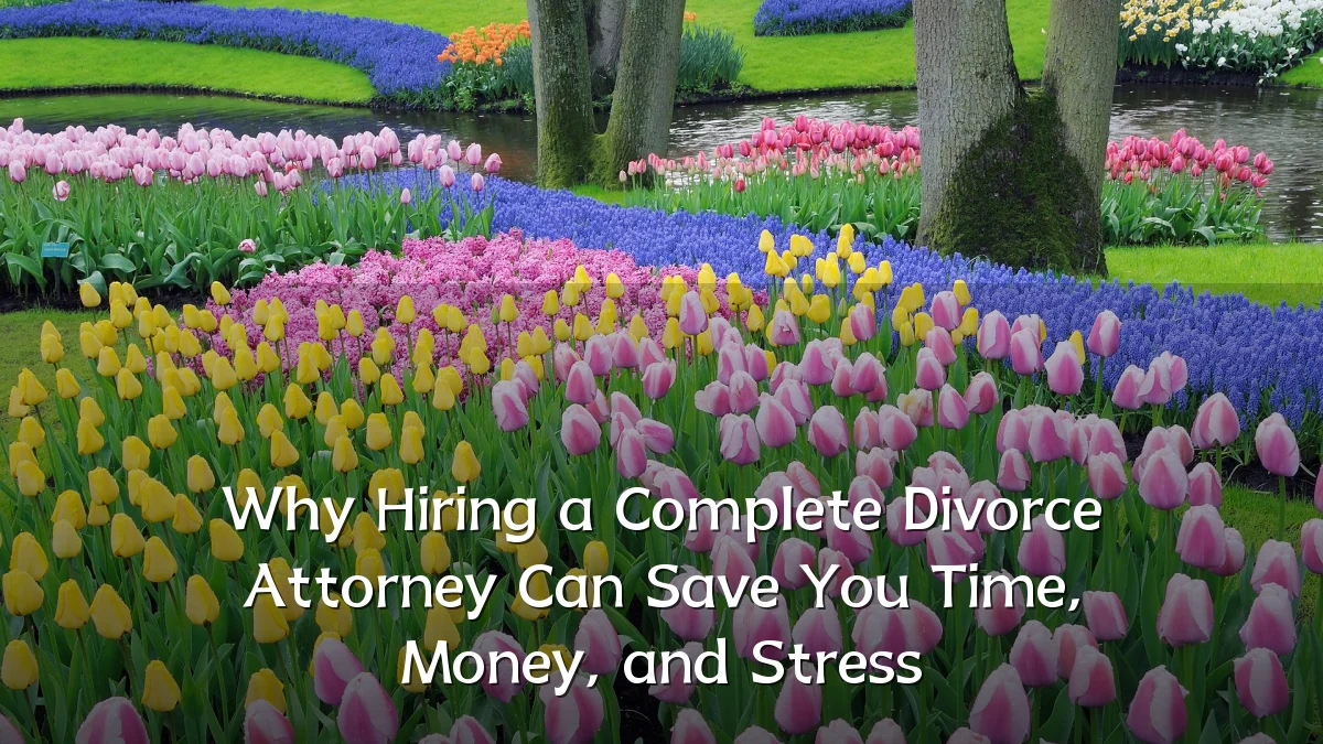 Why Hiring a Complete Divorce Attorney Can Save You Time, Money, and Stress