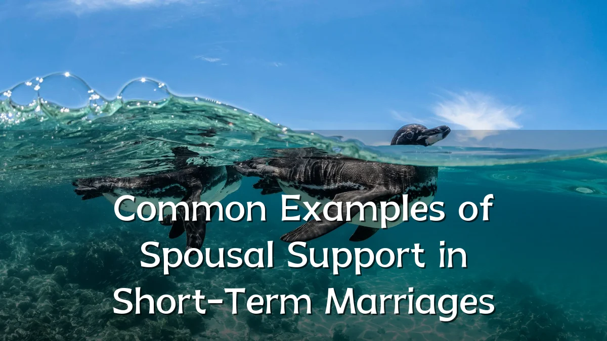 Common Examples of Spousal Support in Short-Term Marriages