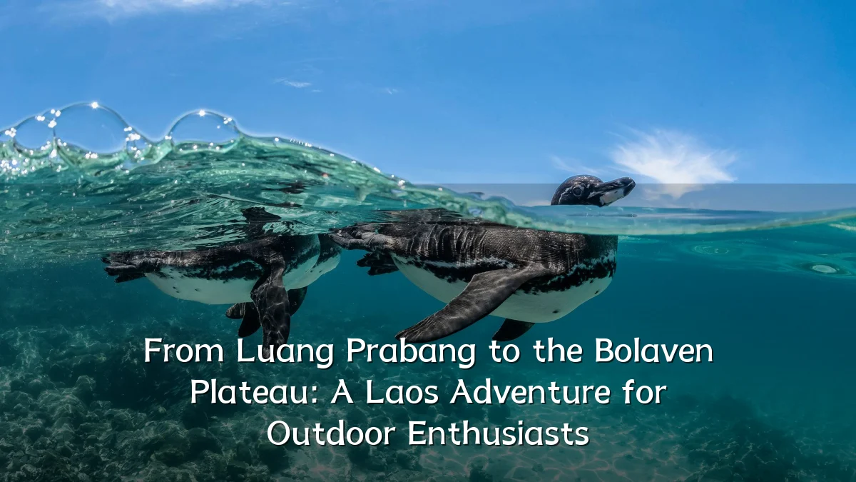 From Luang Prabang to the Bolaven Plateau: A Laos Adventure for Outdoor Enthusiasts