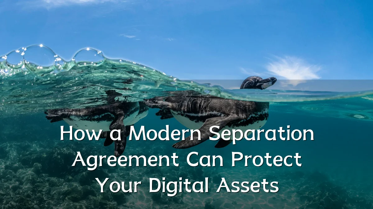 How a Modern Separation Agreement Can Protect Your Digital Assets