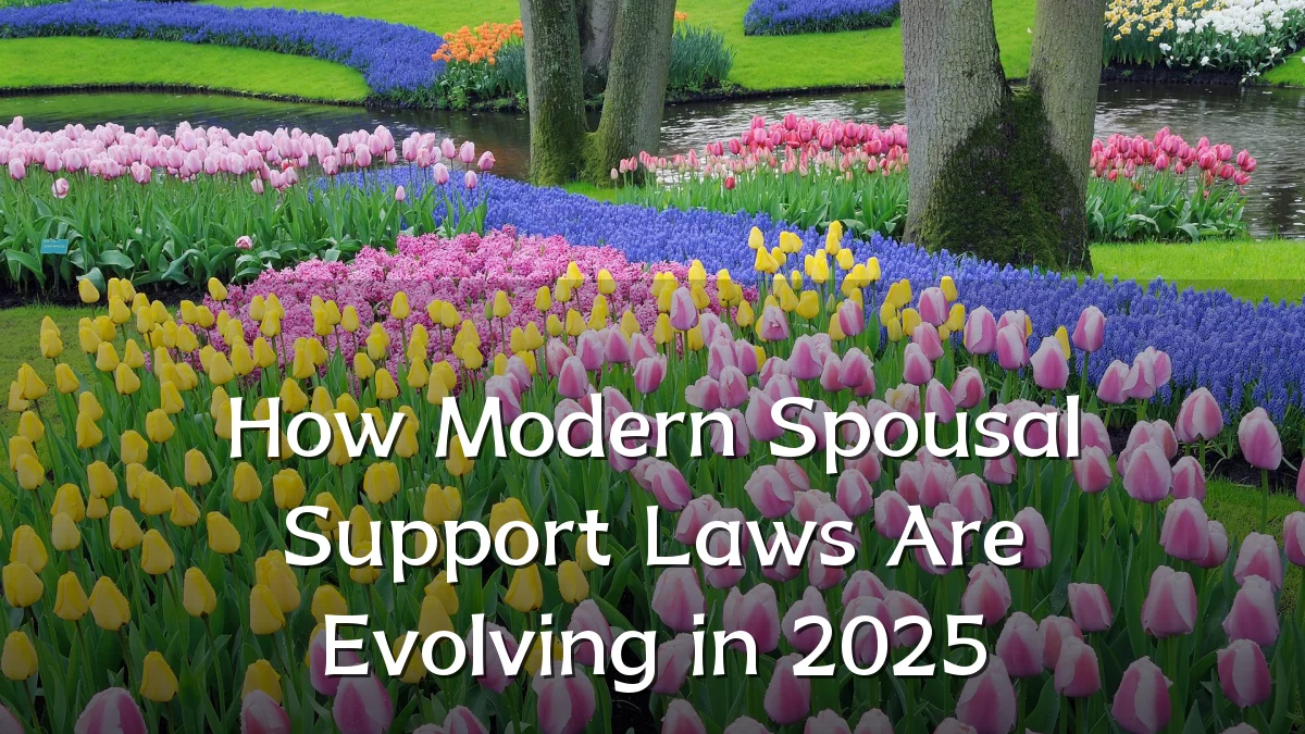 How Modern Spousal Support Laws Are Evolving in 2025