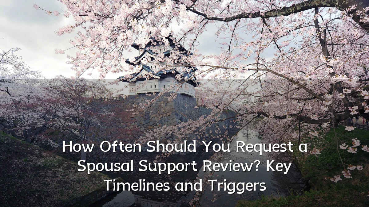 How Often Should You Request a Spousal Support Review? Key Timelines and Triggers