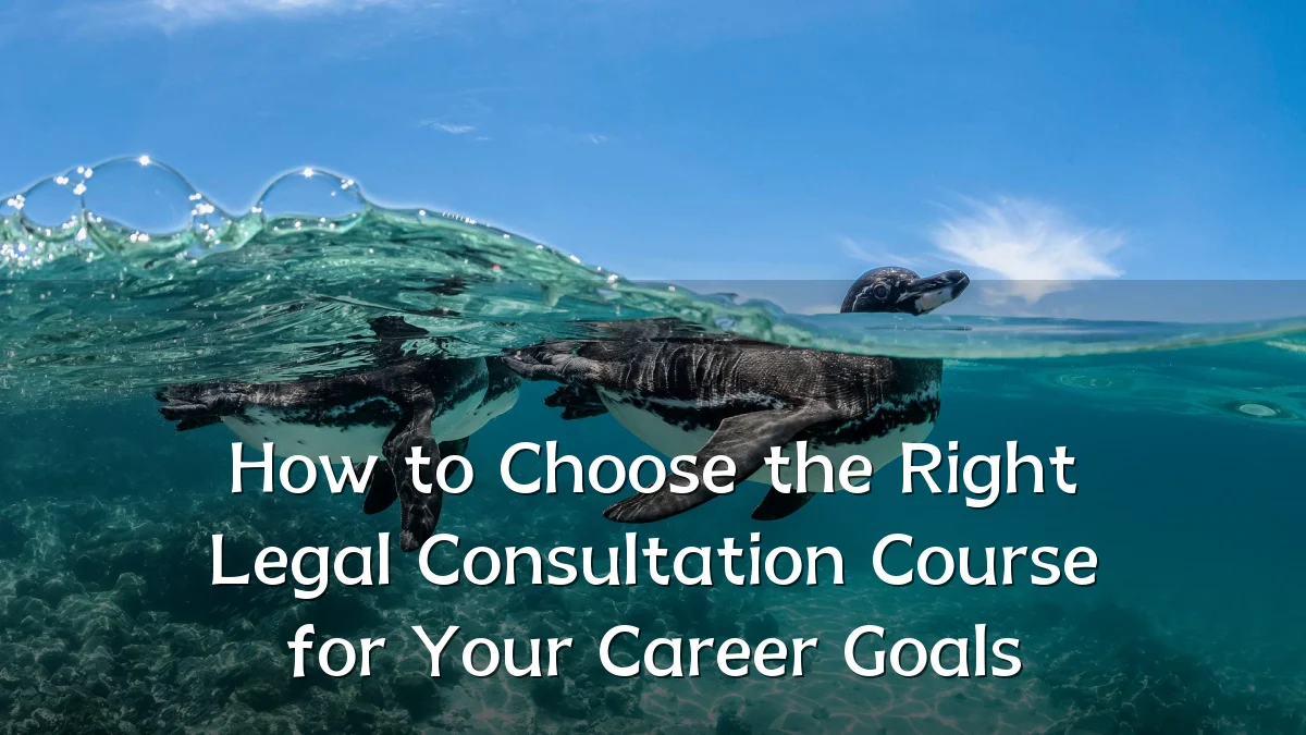 How to Choose the Right Legal Consultation Course for Your Career Goals