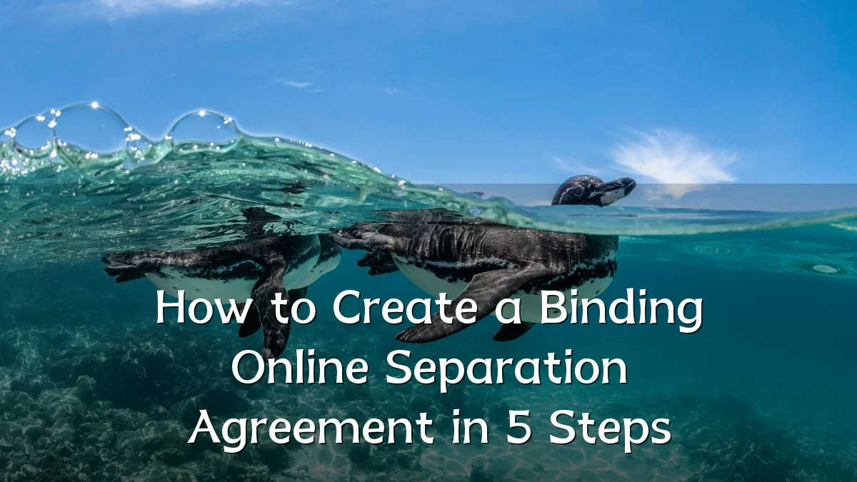 How to Create a Binding Online Separation Agreement in 5 Steps