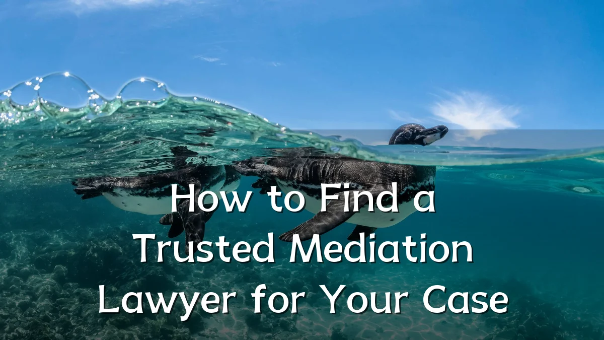 How to Find a Trusted Mediation Lawyer for Your Case