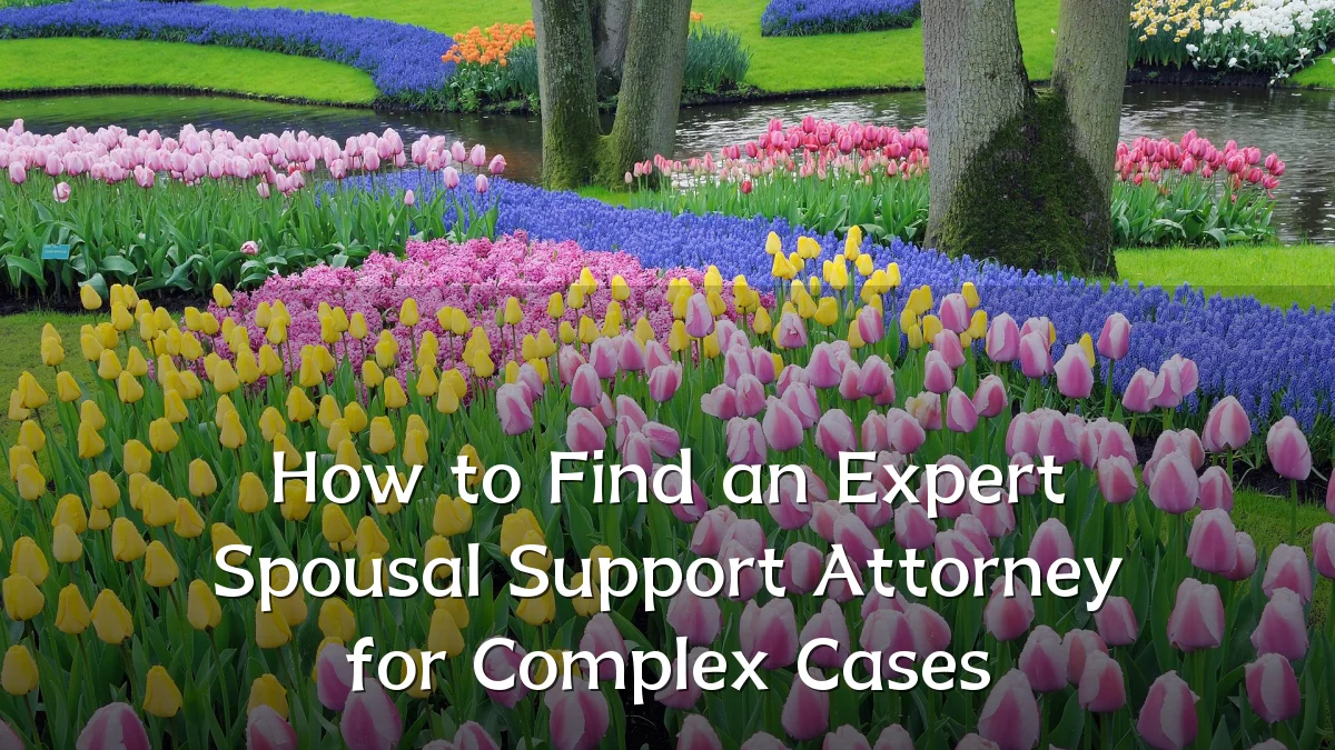 How to Find an Expert Spousal Support Attorney for Complex Cases