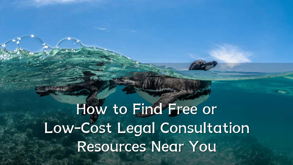 How to Find Free or Low-Cost Legal Consultation Resources Near You
