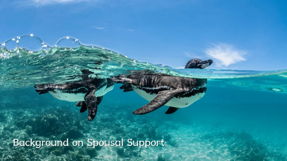 Background on Spousal Support