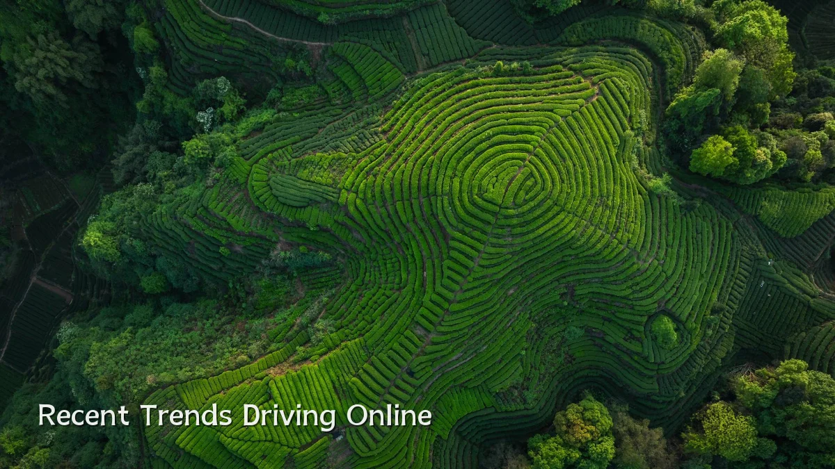 Recent Trends Driving Online