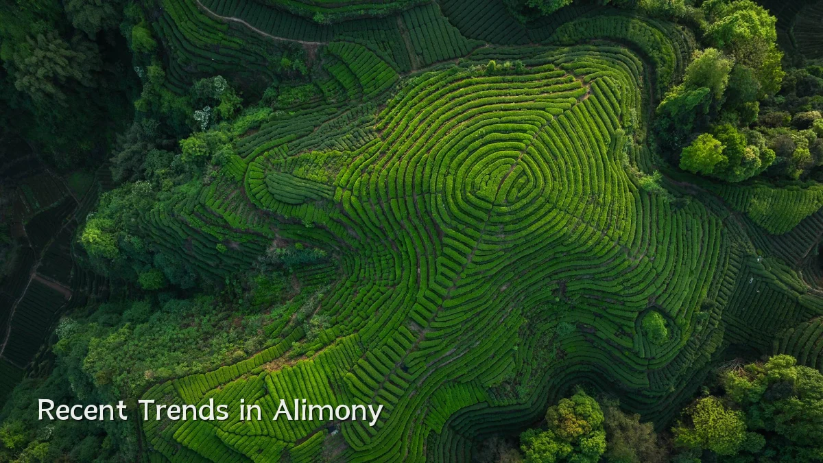 Recent Trends in Alimony